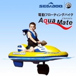 <<完売>>アクアメイト電動フローティングバイク【送料無料】