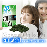 〜暮らしの幸便〜　健康グッズからファッションまで話題の商品満載！-201鬼消し 極☆体内・体外の臭い一括消臭 width=