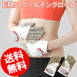 〜暮らしの幸便〜　健康グッズからファッションまで話題の商品満載！-ヤーマン EMS ゴールデングローブ MNA21W【送料無料】☆フェイス?ボディを効果的にトリートメント width=