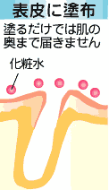 �����ƻ��͡������֥ե��ȥ����� ����
