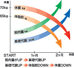 本格派EMS E-BODYで筋肉トレーニング!