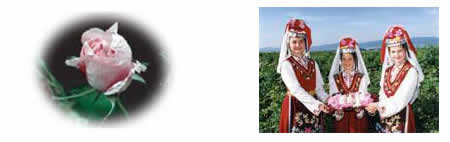 �i�m�q�A�����P�O�T�F�u���K���A���E���[�Y�̍���ɕ�܂��