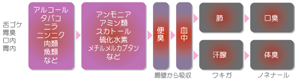 �N���A�b�V���@�F�@���L�E�̏L�̌���