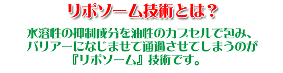 ���|�\�[���Z�p�Ƃ́H�F�i�m�i�m�d�w�A���t�@�@�����[�o�[2�{�Z�b�g