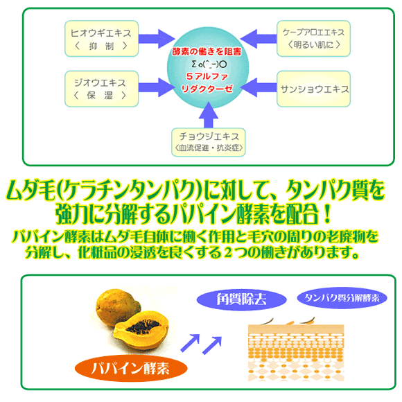 �i�m�i�m�d�w�A���t�@�@�����[�o�[2�{�Z�b�g�́A�p�p�C���y�f�z��
