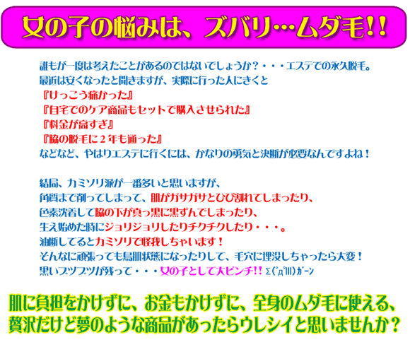 �i�m�i�m�d�w�A���t�@�@�����[�o�[2�{�Z�b�g�Ŕ��ɗD�����P�A
