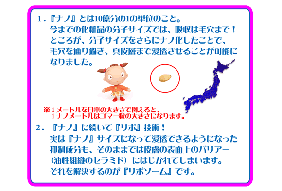 �i�m�i�m�d�w�A���t�@�@�����[�o�[2�{�Z�b�g�̃i�m�Ƃ́H