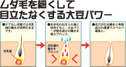 �������C�N�X�e�B�b�N�@2�{�Z�b�g�E���_�т��ׂ����Ėڗ����Ȃ�����哤�p���[
