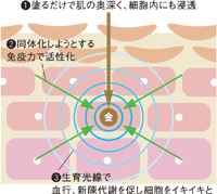 �G�X�e�}�e���A�@�t�F�C�V�������f�R���e�S�[���h�EAP��������ƁA�P�퐫�ێ��@�\����