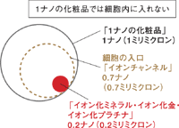 �G�X�e�}�e���A�@�t�F�C�V�������f�R���e�S�[���h�E�C�I���`�����l��