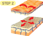 LEOREX�@���I���b�N�X�Estep2