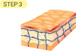 LEOREX�@���I���b�N�X�Estep3