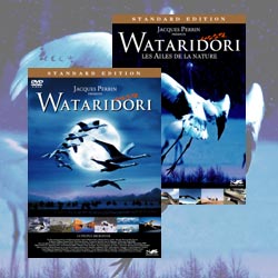 WATARIDORI �X�^���_�[�h�E�G�f�B�V������WATARIDORI�`�����ЂƂ̕���` �X�^���_�[�h�E�G�f�B�V���� DVD�Z�b�g
