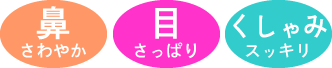 花粉レスキューバン