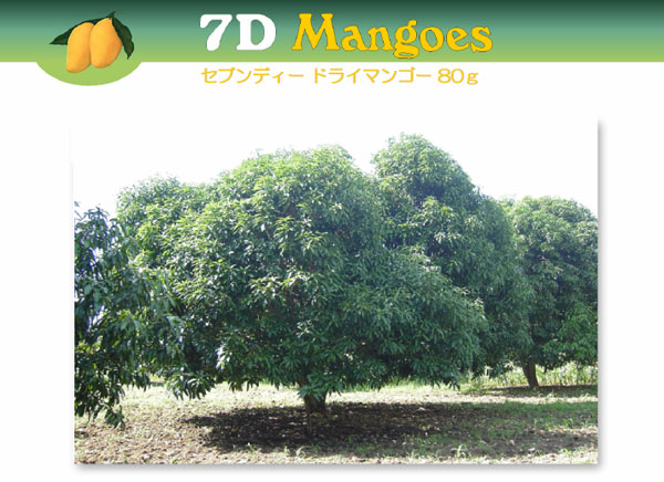 ���֥�ǥ��� �ɥ饤�ޥ󥴡�80g