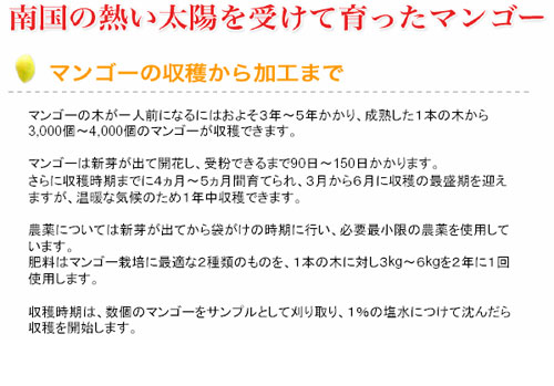 �ɥ饤�ޥ󥴡� �ޥ󥴡��μ��Ϥ���ù��ޤ�