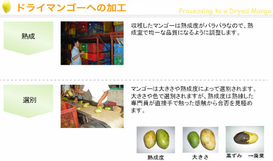 �ɥ饤�ޥ󥴡� �ɥ饤�ޥ󥴡��ؤβù� ����������