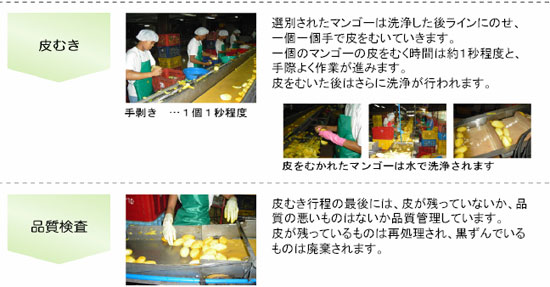 �ɥ饤�ޥ󥴡� �ɥ饤�ޥ󥴡��ؤβù� ��भ���ʼ�����