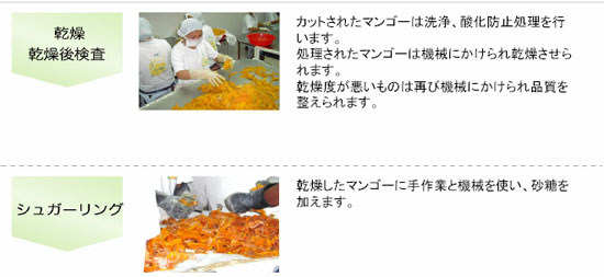 �ɥ饤�ޥ󥴡� �ɥ饤�ޥ󥴡��ؤβù� ���硢����帡�������奬�����