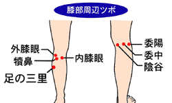 �G�P�A�T�|�[�^�[�u���Ղ̐ԂЂ��搶�v�ؓ��̃R���A�ɂ݁A��J���ɘa
