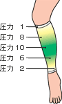 �}�b�T�[�W�T�|�[�^�[�E�A�V�J�[���@���F3���g�F5�i�K�̈��͕ω�