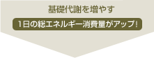 ��b��ӂ𑝂₷�F1���̑��G�l���M�[������A�b�v�I