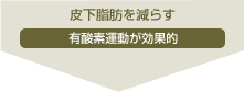 �牺���b�����炷�F�L�_�f�^�������ʓI