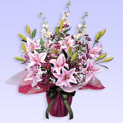 ���̊y���u���G�}�l�H�A���v�N���X�^���s���N