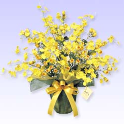 ���̊y���u���G�}�l�H�A���v�S�[���h�X�g���C�N