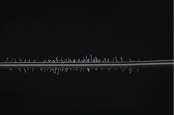 ���Ȗ����V���[�Y ���ԖтƂ�2�{�Z�b�g�@���ɍ׎Y�т���������L���b�`