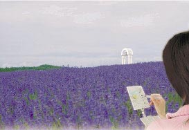 �����L ���񂽂�G�t���Z�b�g