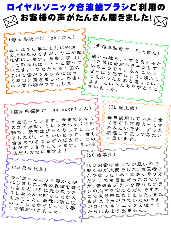 ���Ȼ��֥饷 ������륽�˥å� �����ͤ���