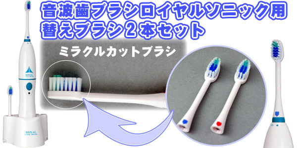 音波歯ブラシ ロイヤルソニック