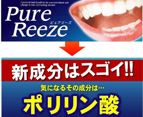 �V�����̓|�������_�I�s���A���[�Y 