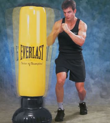 EVERLAST �G�o�[���X�g �p���[�^���[
