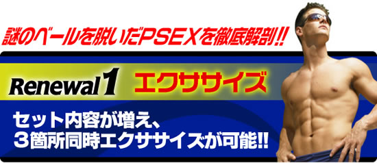 ���j���[�A���P�F�p���[�X���b�N�X�d�w