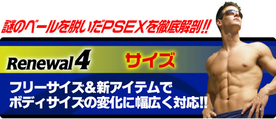 ���j���[�A���S�F�T�C�Y�I�p���[�X���b�N�X�d�w