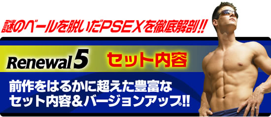 ���j���[�A���T�F�Z�b�g���e���[���I�p���[�X���b�N�X�d�w