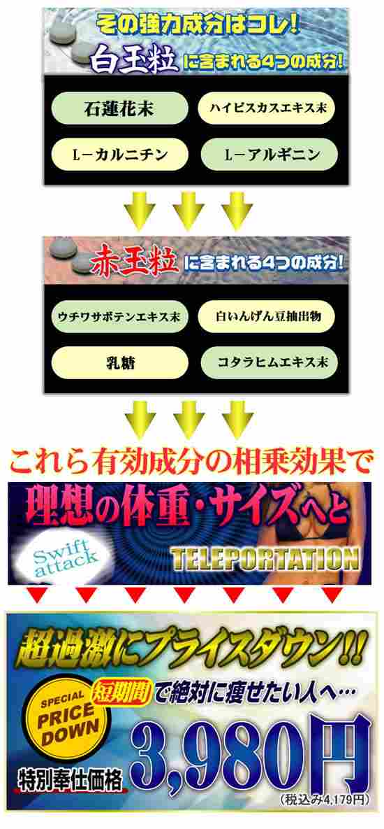 �e���|�e�[�V�����̋��͐����I