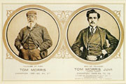 �g���E�����X TOM MORRIS LTD.