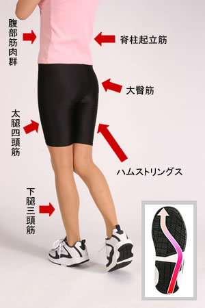 ウォーキングシューズ ヒーレスウォーカーで正しい歩行ができれば、筋肉はしっかり動かせます。