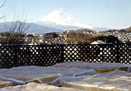 ぬか床 一年生・天然酵母採取