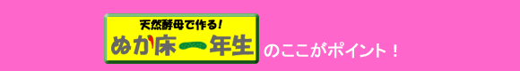 ぬか床 一年生・ここがポイント!