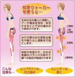 キミコ知恵ウォーカー