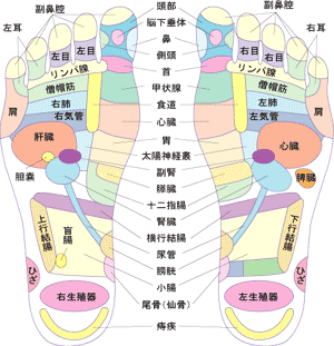 ���Q�b�^ �o�[�l��(Re:getA VARNEL)���c�{�}�b�v