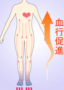 ���Q�b�^ �o�[�l��(Re:getA VARNEL)���s���i