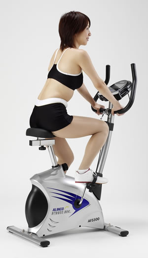 �X�����ȃf�U�C���I�A���C���R �`�F�b�N�A�b�v�o�C�N AF5500