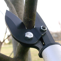��ư���餯�餯���ڤ� 0.8m N-804