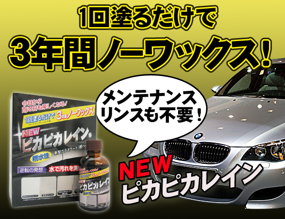 NEW �ԥ��ԥ��쥤��