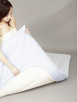 �Ђ�������I�A�C�X�{�f�B�V�[�c NEW Ice Body Sheet